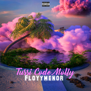 Tussi code molly