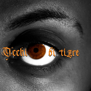 OCCHIO DI TIGRE
