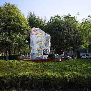 深山飞出金凤凰