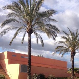 Ride It (Regard Remix)