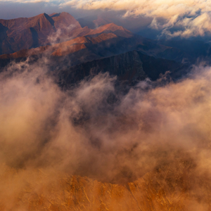 Perpetual Serenities