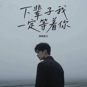 下辈子我一定等着你