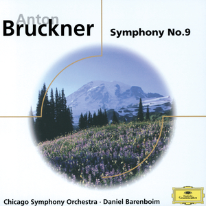 Symphony No. 9 in D Minor, WAB 109:I. Feierlich, misterioso