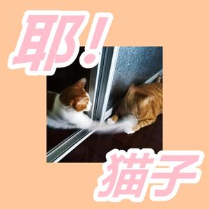 耶！猫子（Prod by MEGA）