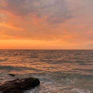 日不落(抒情版)（翻自 张大蕾）