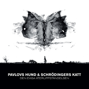 Dansa medan bomben faller ner