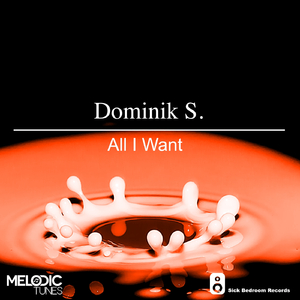 All I Want (Original Mix)