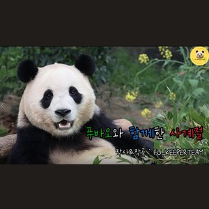 푸바오와 함께한 사계절