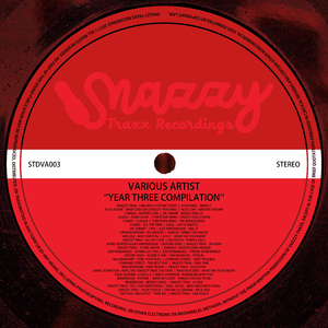 Warped Girl (Original Mix)