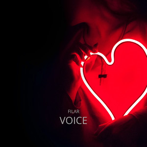 Voice