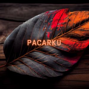 PACARKU