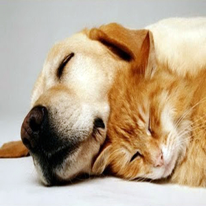 Soulage le Stress et