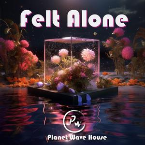 Felt Alone