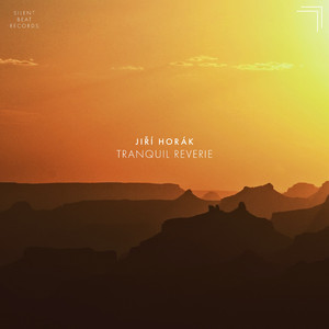 Tranquil Reverie