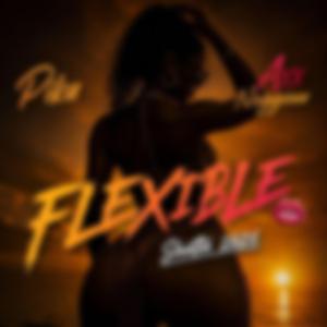 Flexible (feat. Pika972)