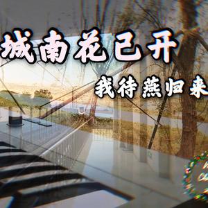 城南花已开