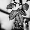 Terranation - Tempest (Original Mix)