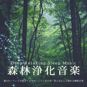 深く眠れる森林空間 - 自然とシンセが溶け合う睡眠アンビエント