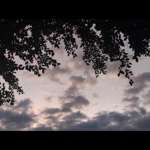 /////////////////////////////