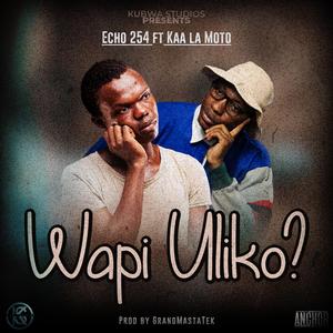 Wapi Uliko? (feat. Kaa La Moto) (Remix)