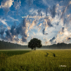 휴식을 주는 바람소리 (백색소음, 화이트노이즈, 자장가, ASMR)