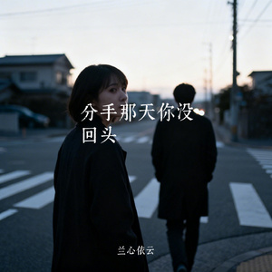 分手那天你没回头