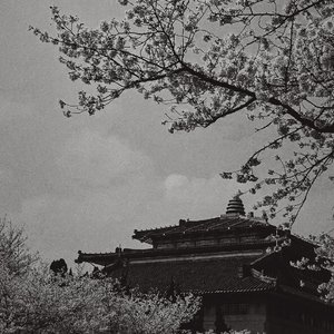 【FREE】"Shut The Bass"