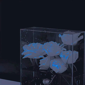 沉溺在你幻影（demo）