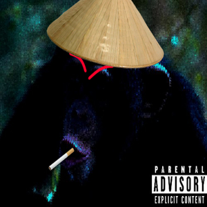 Chimpanzé Vénère
