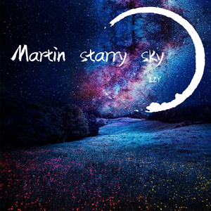 Martin starry sky