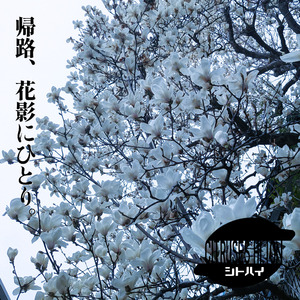 帰路、花影にひとり。