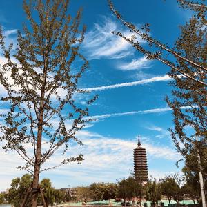 都唱给你听(Prod.by DiESi)