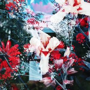 Please Do Not Question the Orb