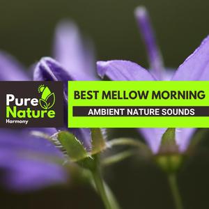 Tropical Rainstorm Aftermath