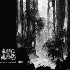 Come to Abeloth (Bonus Track) (INSTRUMENTAL)