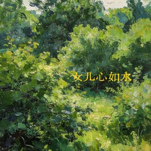 女儿心如水 Remix