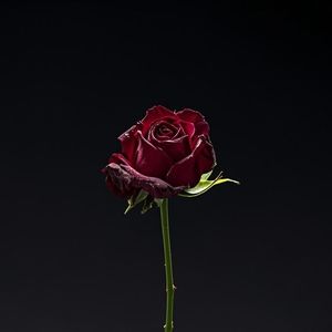 NONE（Prod by Yzz）