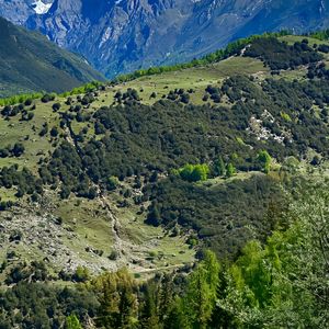 《弦乐铺陈的奢品浪漫格调》023