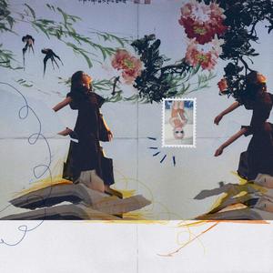 恐高的长脖子小鹿