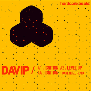 Iginition (Bare Noize Remix)