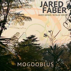 Mogoobius