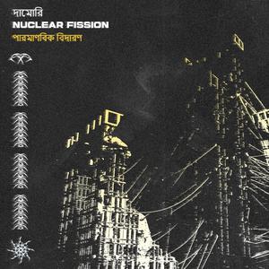Nuclear Fission