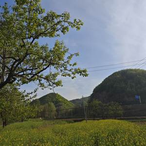 记得那年