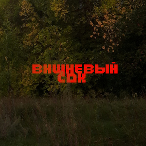 Вишневый сок