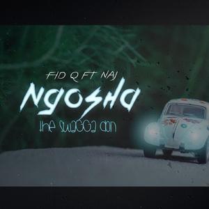 Ngosha the swagga don Feat Naj