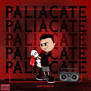 Paliacate
