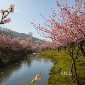 小村远山 (Remix)