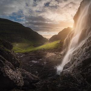 ひかげのかずら