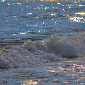 月光总会落在你身上