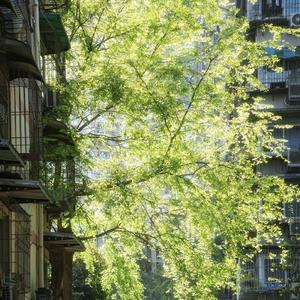 郑润泽-遇见(吉他弹唱版)_大颖（大颖 remix）